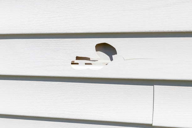 Affordable Siding Repair and Maintenance Services in Madera, CA